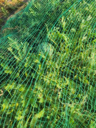 도깨비윤샘 님의 9월 농사계획 공유하기 · 참여글 작성글 사진