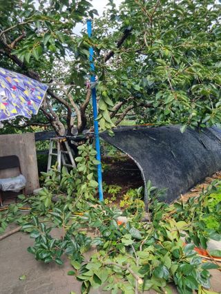 김용대님의 자유주제 · 자유게시판 작성글 사진