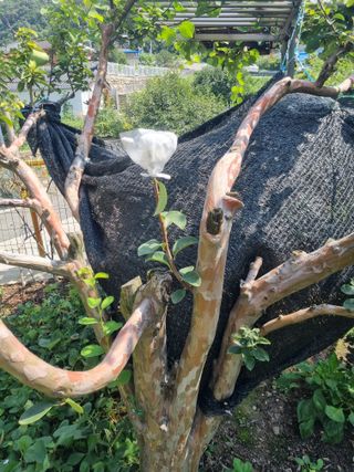 김용대님의 자유주제 · 자유게시판 작성글 사진