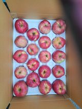 팜모닝 · 게시글 이미지