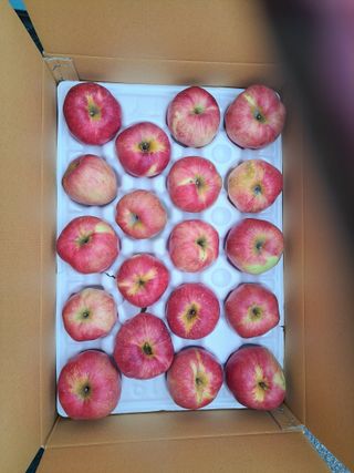 박수정님의 작성글 사진