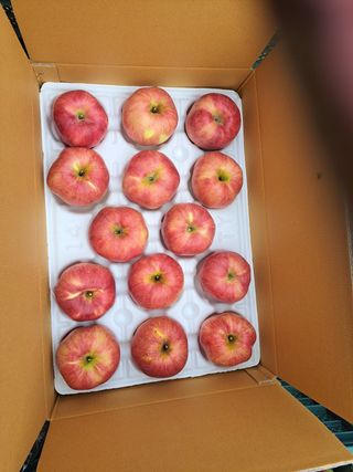 박수정님의 작성글 사진