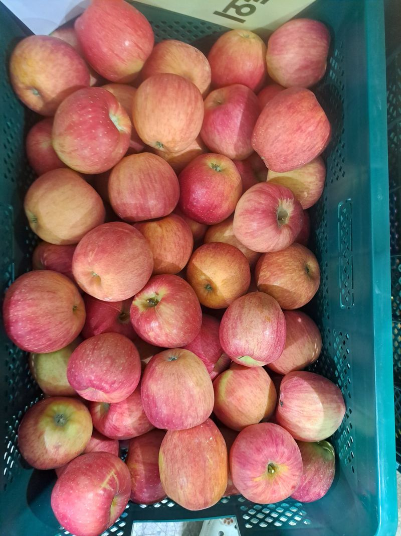 박수정님의 장터 판매 상품 [정품공품크기혼합홍로5키로] 첨부 사진