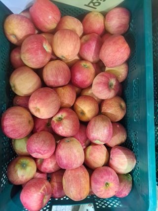 박수정님의 작성글 사진