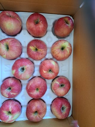 박수정님의 작성글 사진