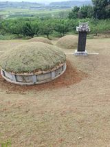 팜모닝 자유주제·자유게시판 게시글 이미지