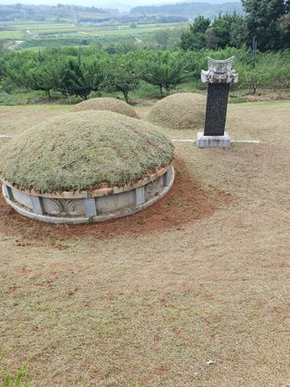유선경님의 자유주제 · 자유게시판 작성글 사진