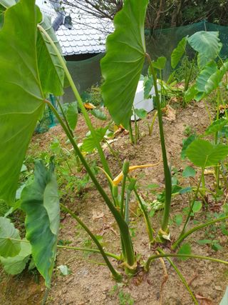 강재화님의 자유주제 · 자유게시판 작성글 사진