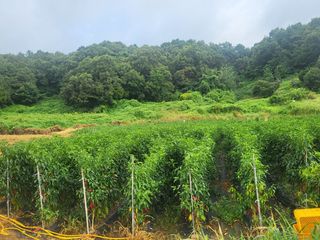 권연호님의 작성글 사진