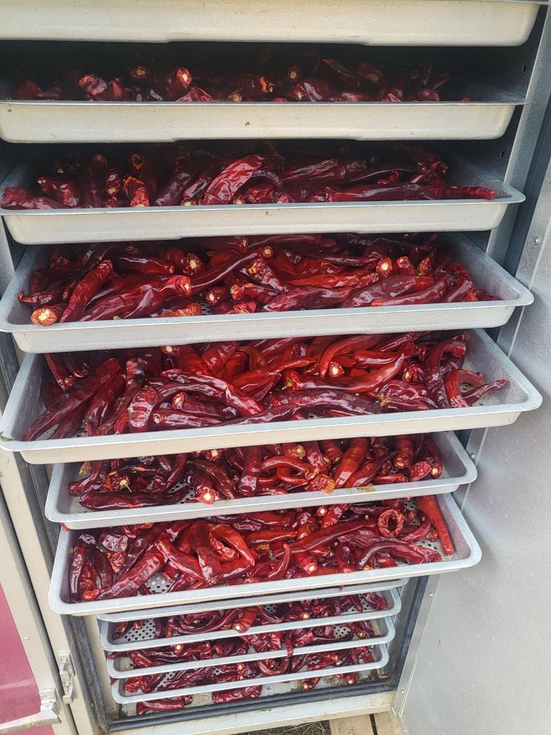 권연호님의 장터 판매 상품 [24년 괴산 햇세척고추가루 1근600g] 첨부 사진