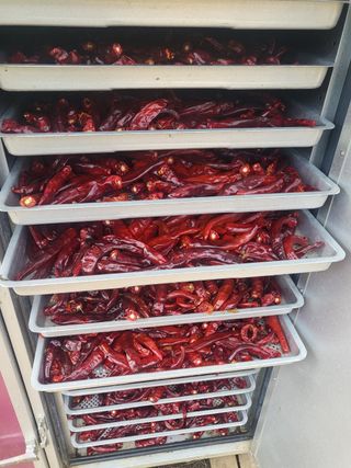 권연호님의 작성글 사진