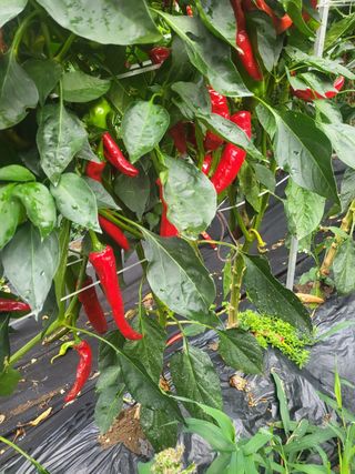 권연호님의 작성글 사진