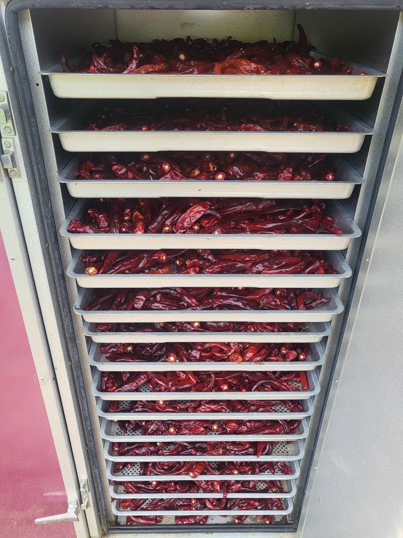 권연호님의 장터 판매 상품 [24년 괴산 햇세척고추가루 1근600g] 첨부 사진