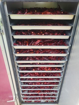 권연호님의 작성글 사진