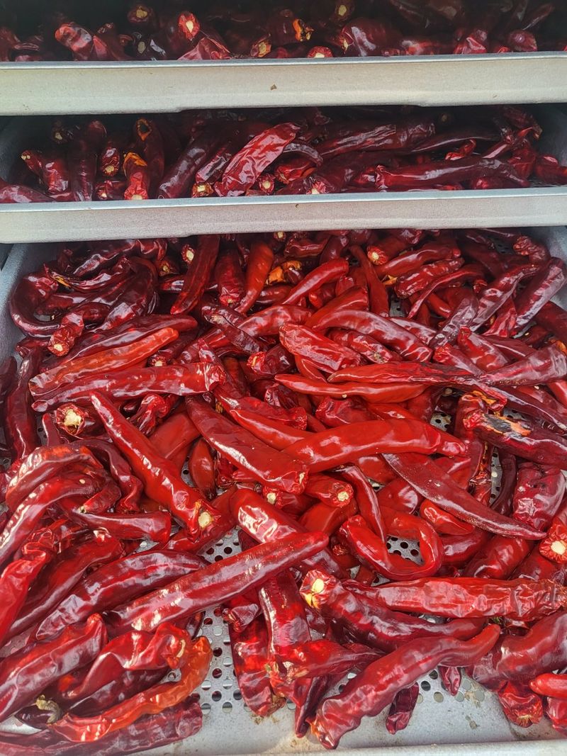 권연호님의 장터 판매 상품 [24년 괴산 햇세척고추가루 1근600g] 첨부 사진