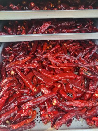 권연호님의 작성글 사진