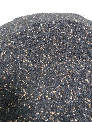 초보굴백이님의 참깨 · 자유게시판 작성글 사진