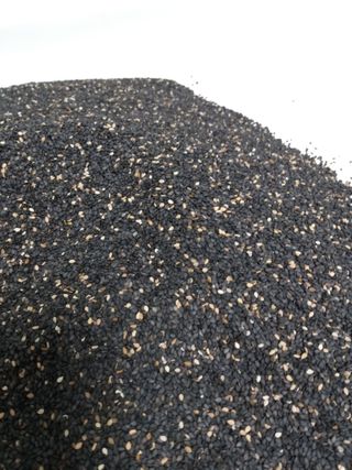 초보굴백이님의 참깨 · 자유게시판 작성글 사진