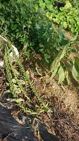 팜모닝 자유주제·자유게시판 게시글 이미지