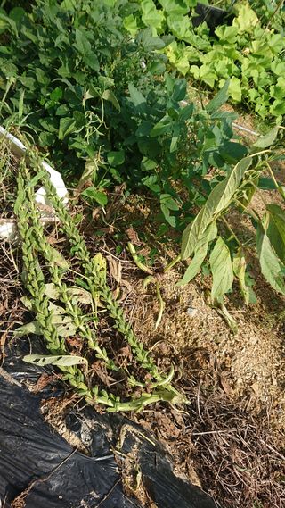 표고버섯20903님의 자유주제 · 자유게시판 작성글 사진