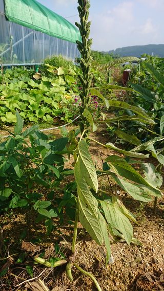 표고버섯20903님의 자유주제 · 자유게시판 작성글 사진