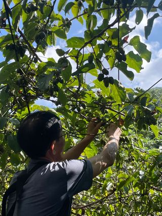 박기식 님의 자유주제 · 자유게시판 작성글 사진