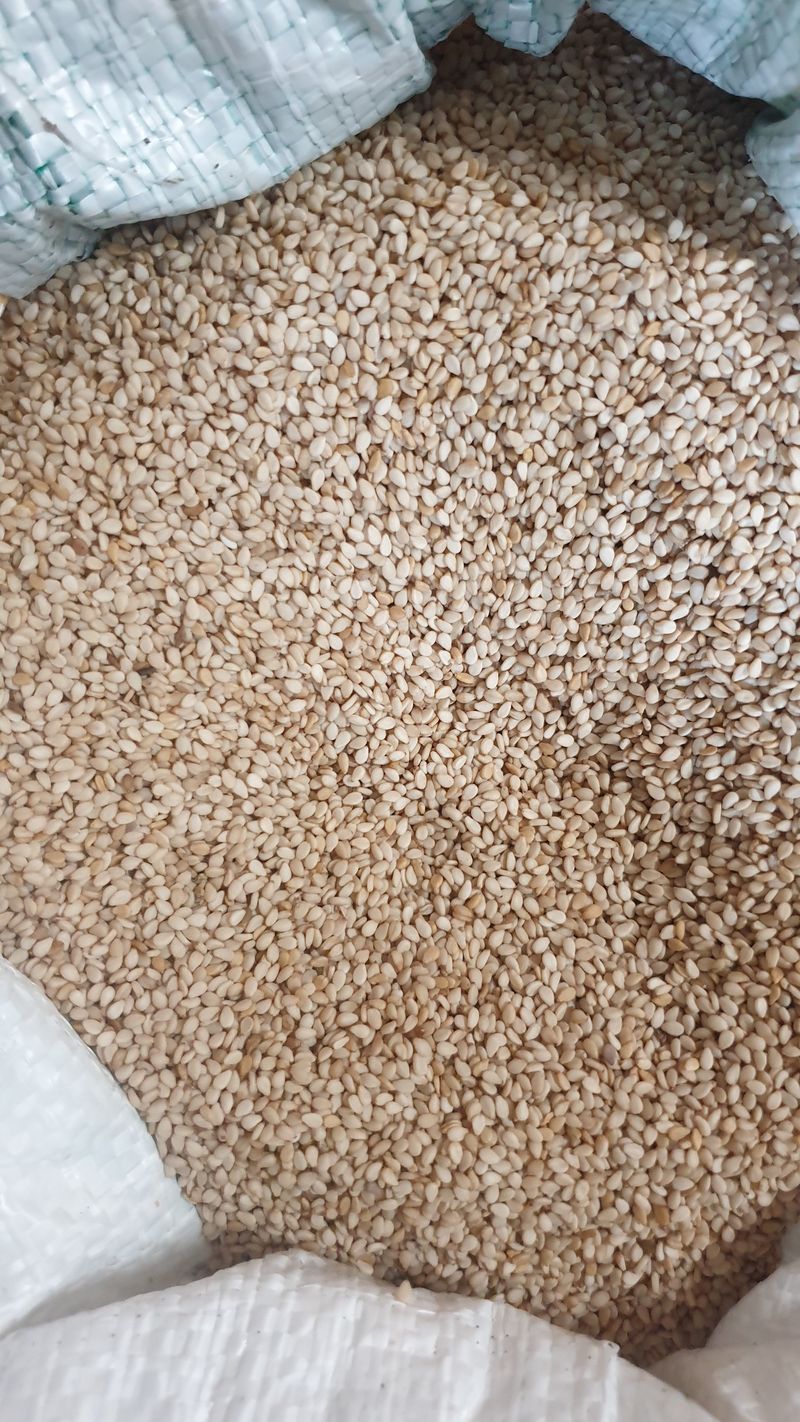 장터 상품 [직접 농사지은 참깨 6kg] 썸네일