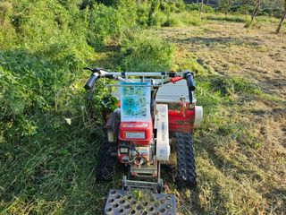 (주)연리지윤태금님의 들깨 · 영농일지 작성글 사진