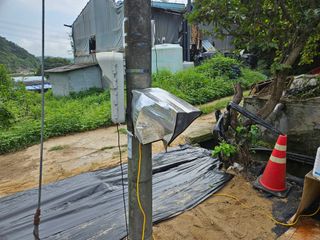 뿡뿡농장님의 배추 · 영농일지 작성글 사진