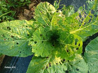 강성흔목사 님의 자유주제 · 자유게시판 작성글 사진