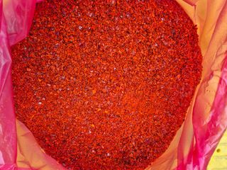 김기자(흰구름농원)님의 고추 · 영농일지 작성글 사진