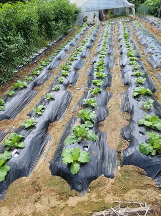 권병☆님의 9월 농사계획 공유하기 · 참여글 작성글 사진