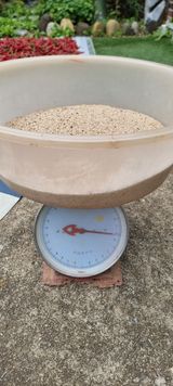 권병☆님의 9월 농사계획 공유하기·참여글 작성글 사진