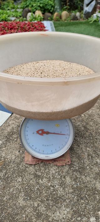 권병☆님의 9월 농사계획 공유하기 · 참여글 작성글 사진