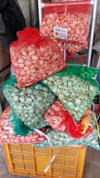 오혜영님의 자유주제 · 자유게시판 작성글 사진