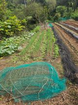 초짜농부님의 9월 농사계획 공유하기·참여글 작성글 사진