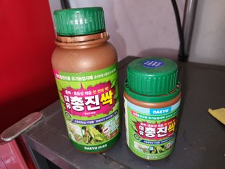 텃밭입문님의 농사, 무엇이든 물어보세요! · 참여글 작성글 사진