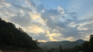 영월산지기148님의 배추 · 영농일지 작성글 사진