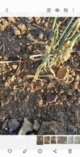 팜모닝 파·자유게시판 게시글 이미지