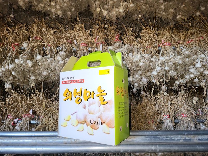 장터 상품 [(종자용가능)상품 지름3.5-4.0cm/1접(100개) 약2.0kg  27000원] 썸네일