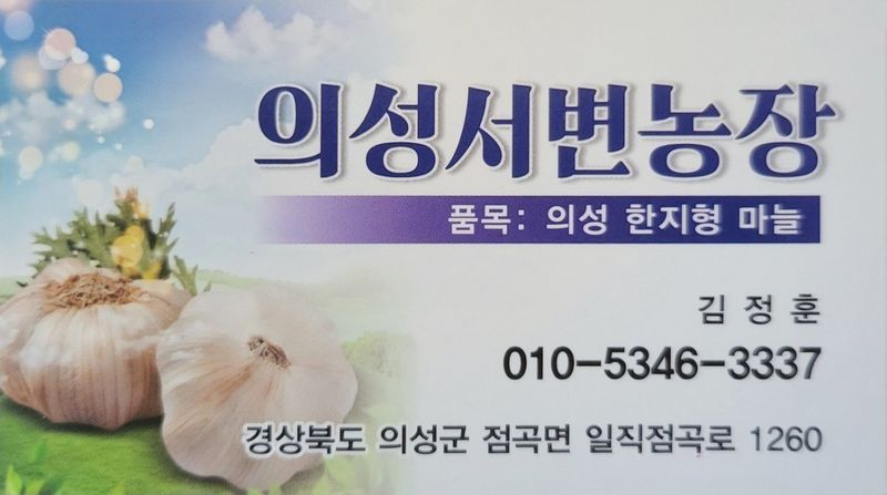 의성마늘(한지형)님의 장터 판매 상품 [(종자용가능)상품 지름3.5-4.0cm/1접(100개) 약2.0kg  27000원] 첨부 사진
