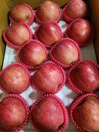 또바기사과(이훈희)님의 작성글 사진