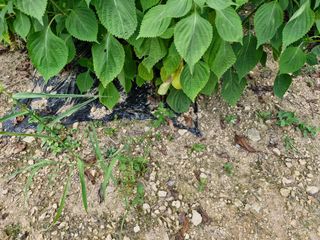 정석구님의 자유주제 · 자유게시판 작성글 사진