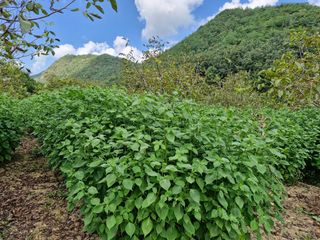 정석구님의 자유주제 · 자유게시판 작성글 사진