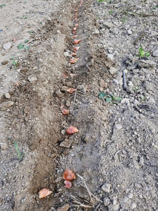 정석구님의 자유주제 · 자유게시판 작성글 사진