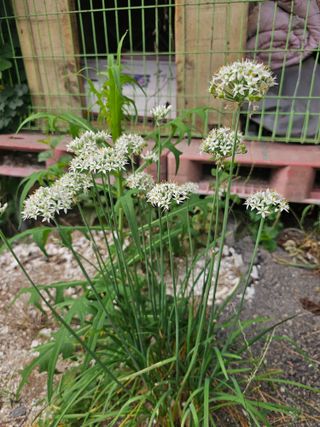 황궁양원님의 자유주제 · 사진전 작성글 사진