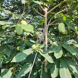 팜모닝 기타작물·영농일지 게시글 이미지