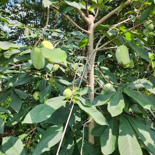 하동삼삼오오님의 기타작물 · 영농일지 작성글 사진