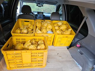 장양농원6606님의 9월 농사계획 공유하기 · 참여글 작성글 사진