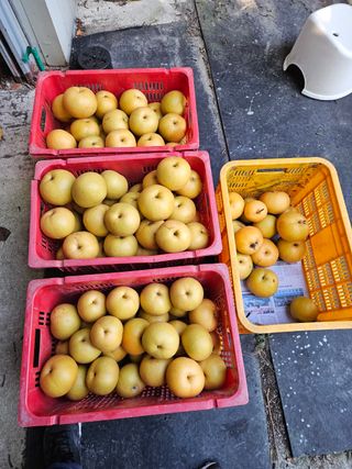 장양농원6606님의 9월 농사계획 공유하기 · 참여글 작성글 사진